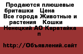 Продаются плюшевые бриташки › Цена ­ 2 500 - Все города Животные и растения » Кошки   . Ненецкий АО,Каратайка п.